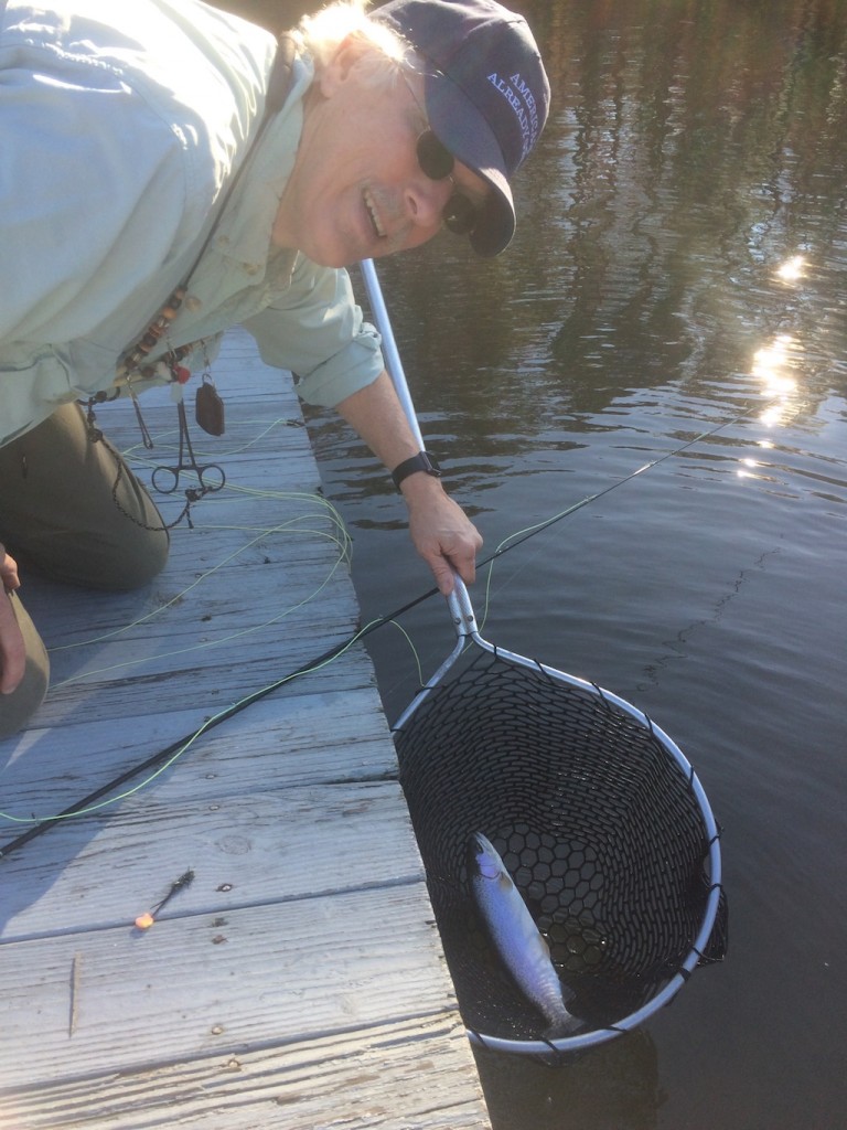 Joel netting trout